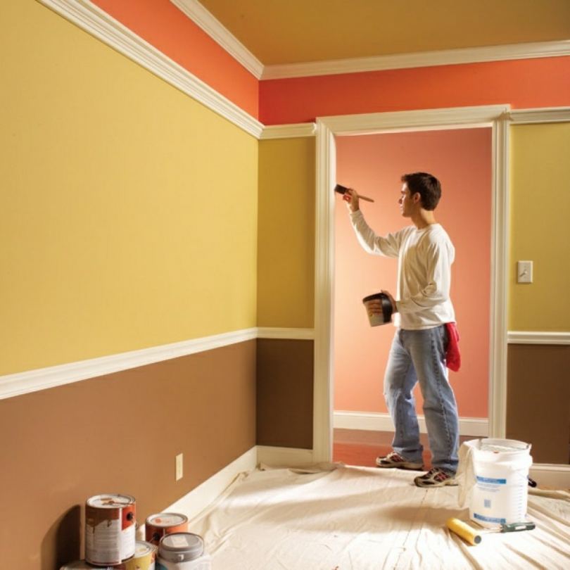 Краска для стен - современные виды и выбор лучшего варианта для качественной покраски вместе с экспертами